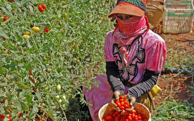 femme rurale maroc